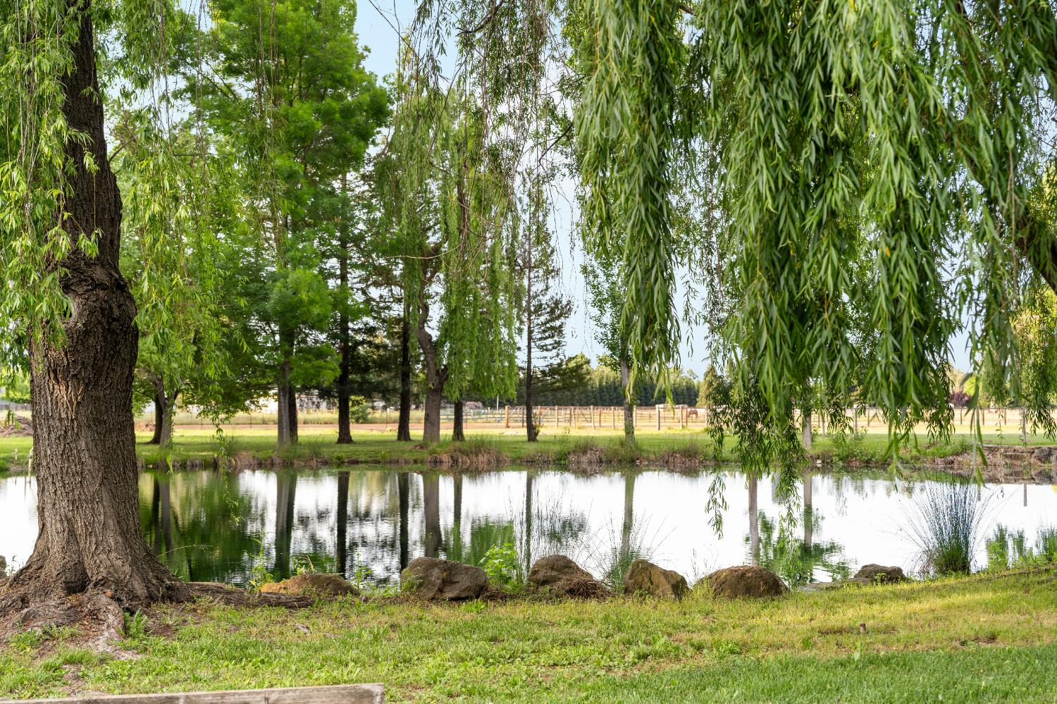 9475 Alta Mesa Road Wilton, CA 95693 - Photo 70 of 80