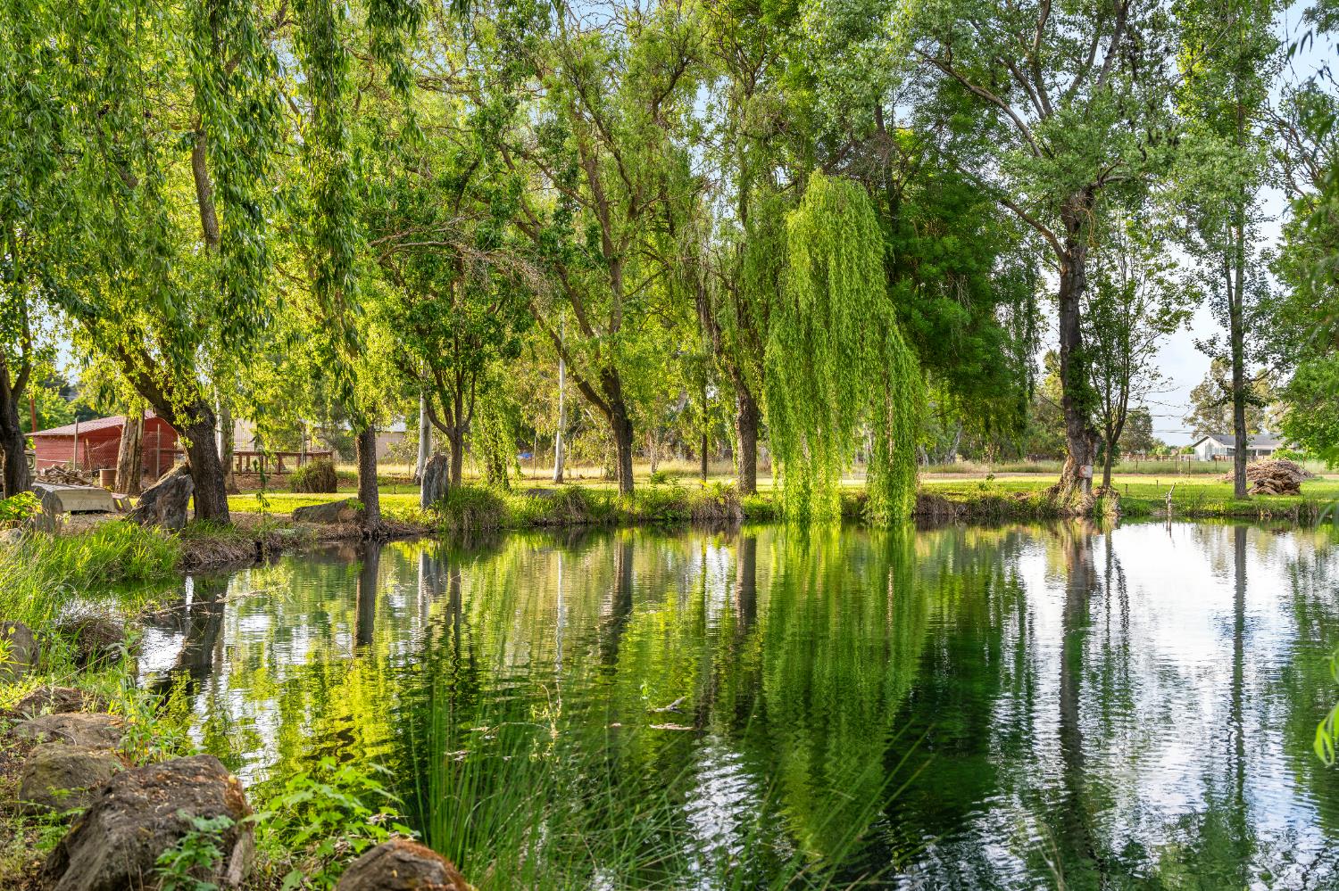 9475 Alta Mesa Road Wilton, CA 95693 - Photo 71 of 80