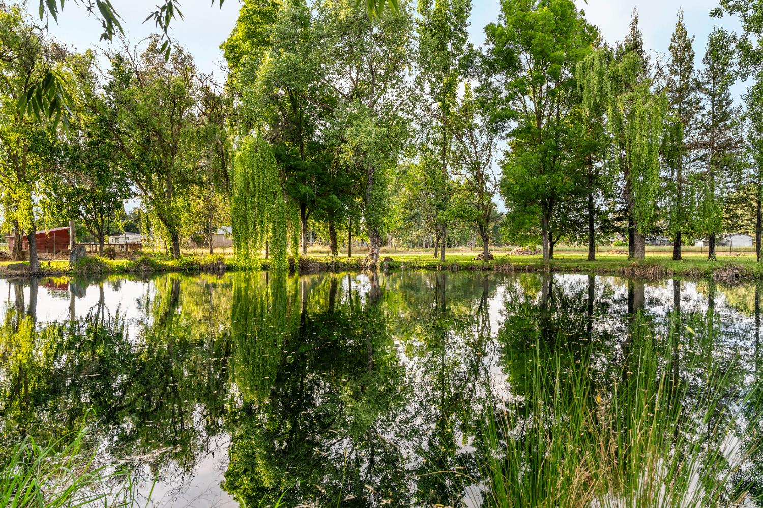 9475 Alta Mesa Road Wilton, CA 95693 - Photo 72 of 80