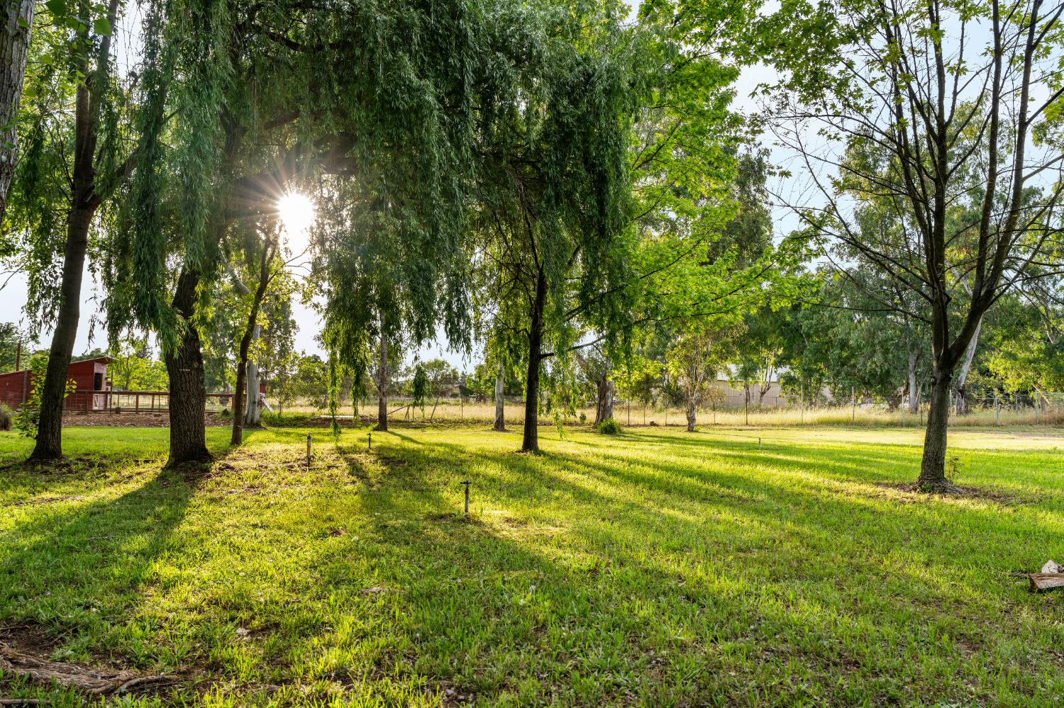 9475 Alta Mesa Road Wilton, CA 95693 - Photo 74 of 80