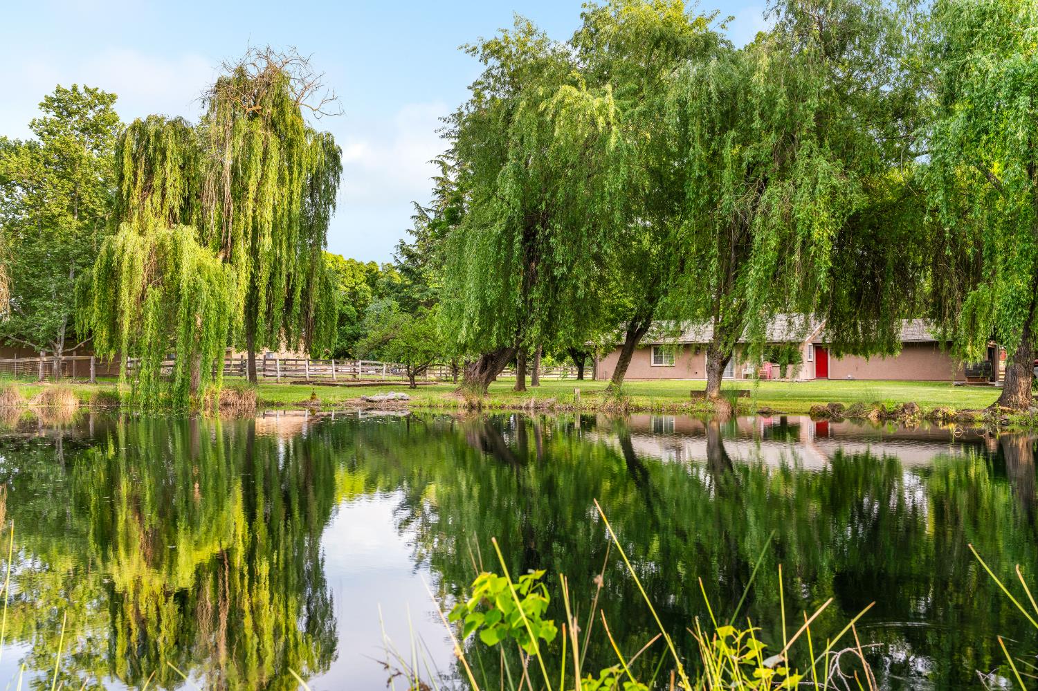 9475 Alta Mesa Road Wilton, CA 95693 - Photo 75 of 80