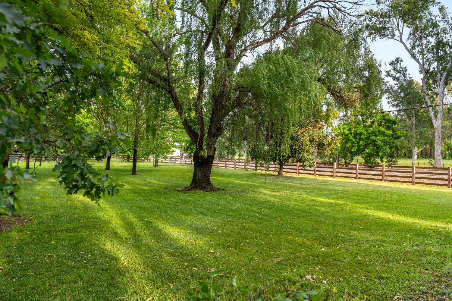 9475 Alta Mesa Road Wilton, CA 95693 - Photo 77 of 80