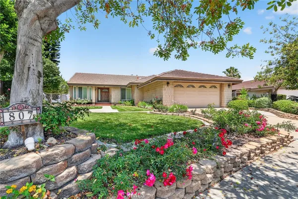 a view of a house with a big yard and potted plants