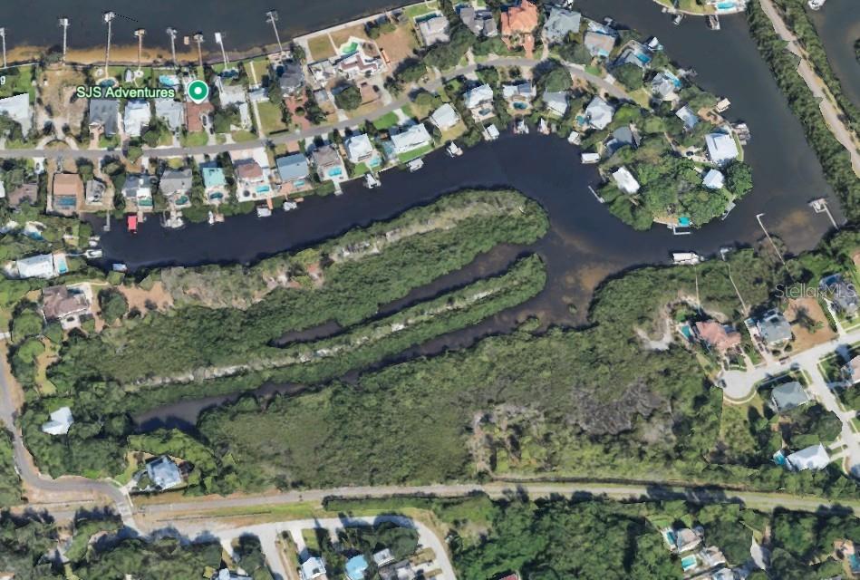 Magnolia Avenue Palm Harbor, FL 34683 - Photo 4 of 6 a view of a garden