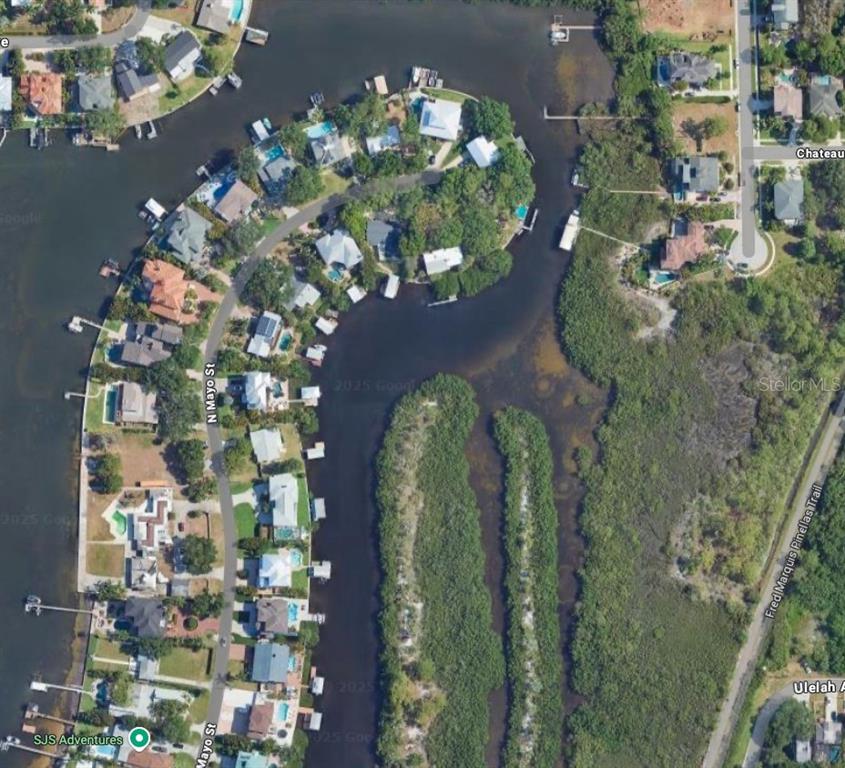 Magnolia Avenue Palm Harbor, FL 34683 - Photo 5 of 6 a close up of a flower in a garden