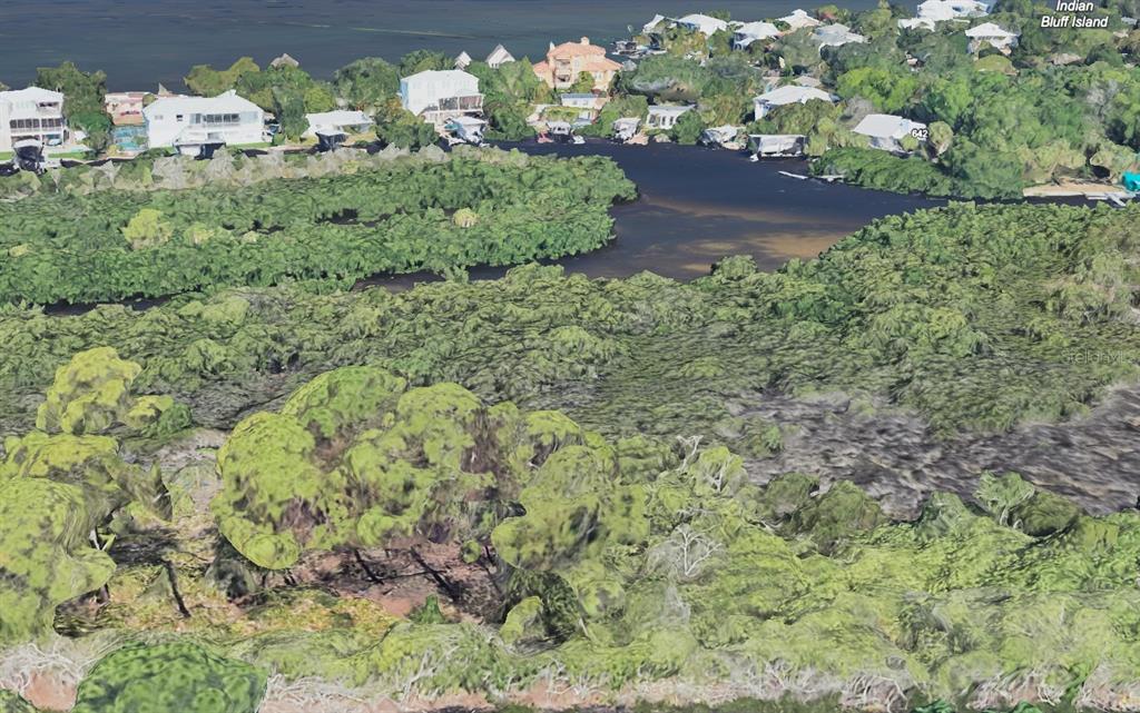Magnolia Avenue Palm Harbor, FL 34683 - Photo 6 of 6 a view of a garden with a building
