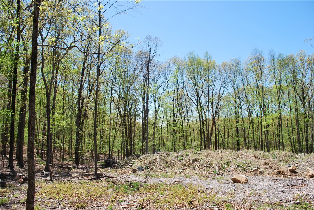 296 Tower Hill Road Cumberland, RI 02864 - Photo 1 of 3