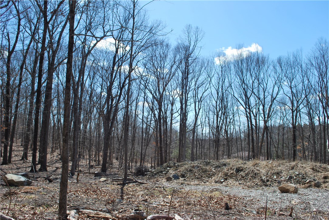 296 Tower Hill Road Cumberland, RI 02864 - Photo 2 of 2