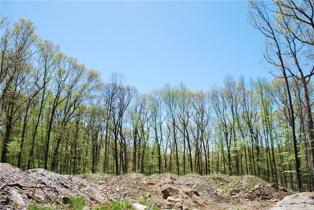 296 Tower Hill Road Cumberland, RI 02864 - Photo 3 of 3