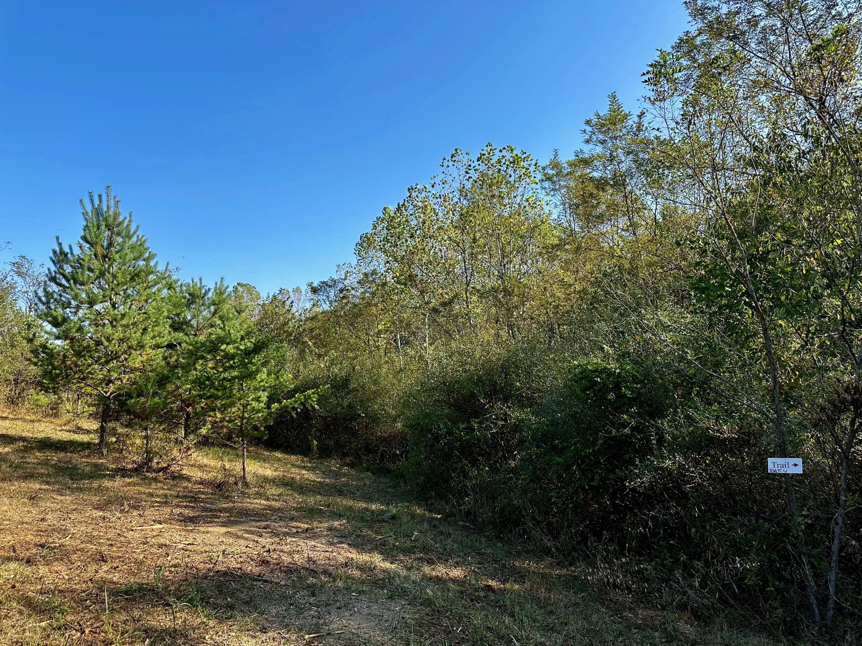 0 Dutch Ridge Road, Unit TRACT 4 AT DUTCH RIDGE) New Straitsville, OH 43766 - Photo 23 of 53 20240920_140205400_iOS