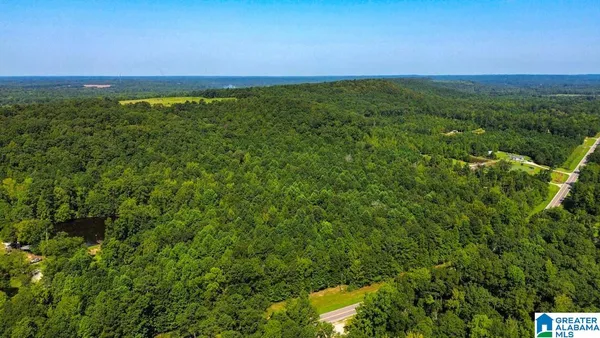 $97,900 | 0 Highway 145, Unit PARCEL 3, Clanton, AL 35046