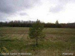 Par C Summers Road North Branch, MI 48461 - Photo 1 of 1 Parcel C Summers Rd..jpg