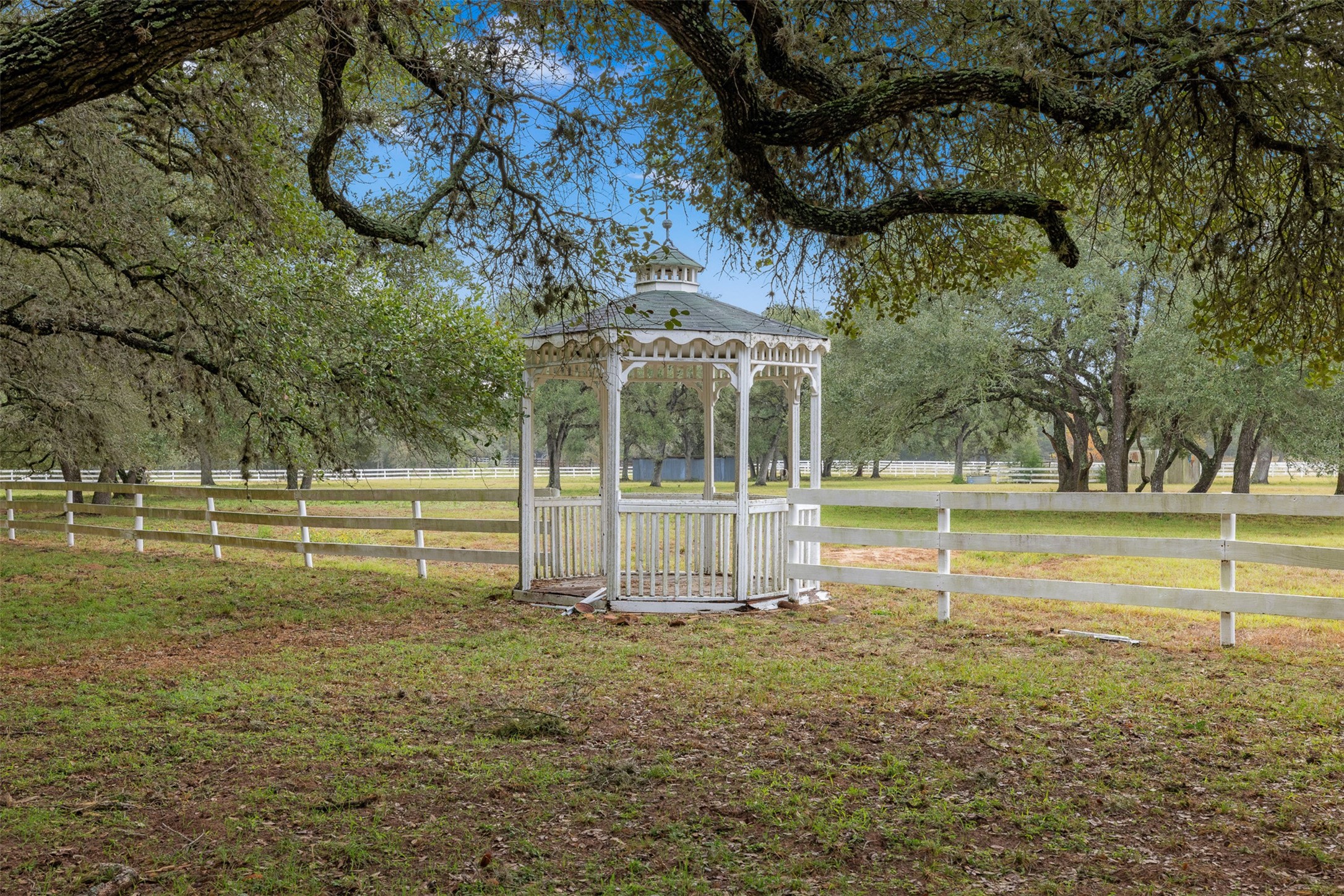 1131 Greak Road Weimar, TX 78962 - Photo 23 of 42 a view of a swimming pool with a patio