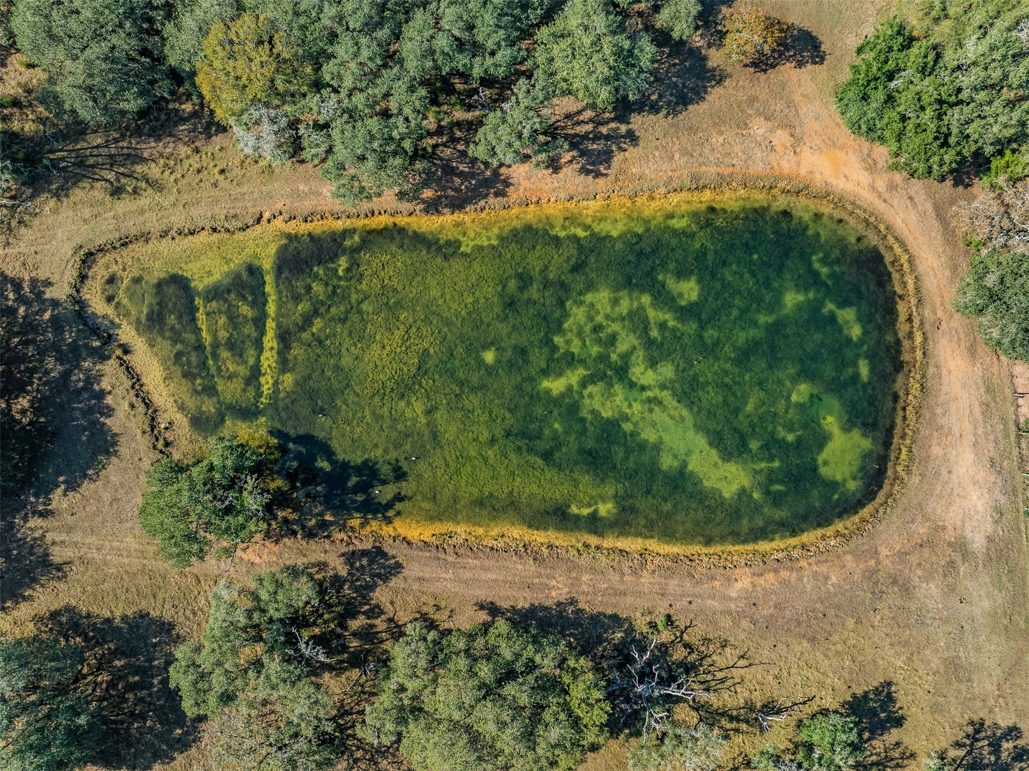 1131 Greak Road Weimar, TX 78962 - Photo 26 of 42 a view of a yard