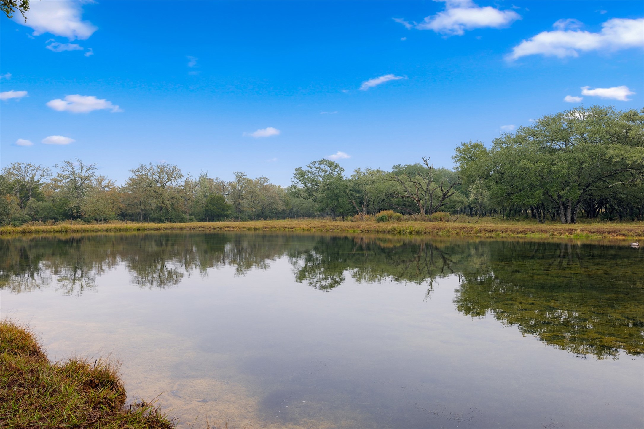 1131 Greak Road Weimar, TX 78962 - Photo 27 of 42 a view of a lake
