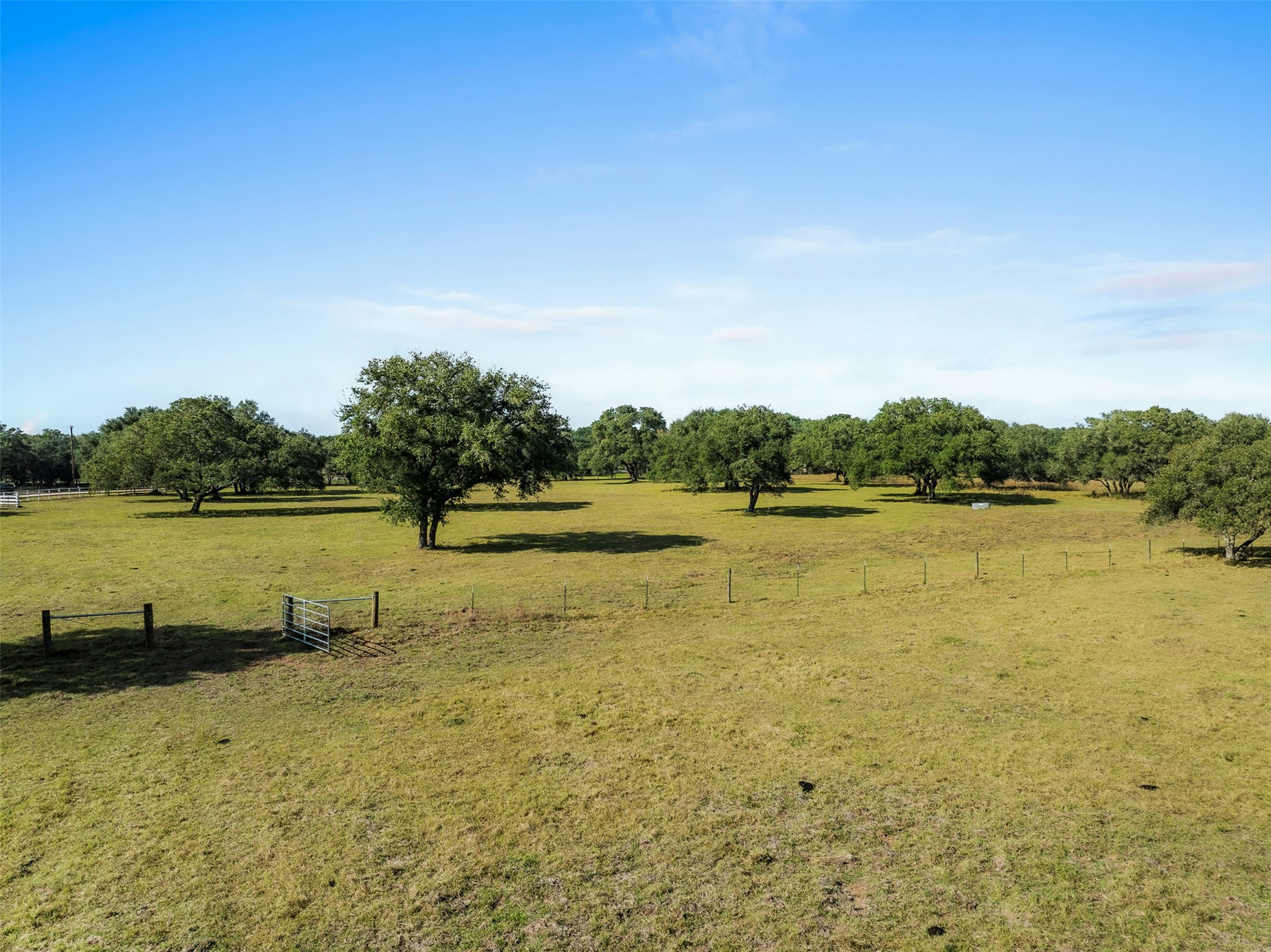1131 Greak Road Weimar, TX 78962 - Photo 28 of 42 a view of a lake with houses in the back
