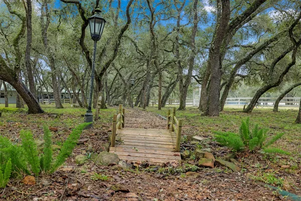 a view of backyard with green space