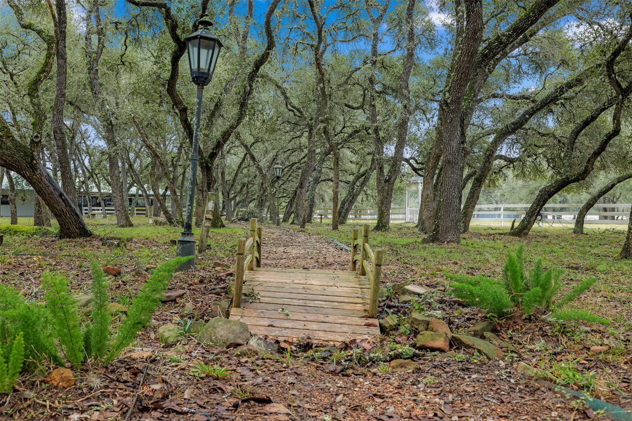 1131 Greak Road Weimar, TX 78962 - Photo 36 of 42 a view of backyard with green space