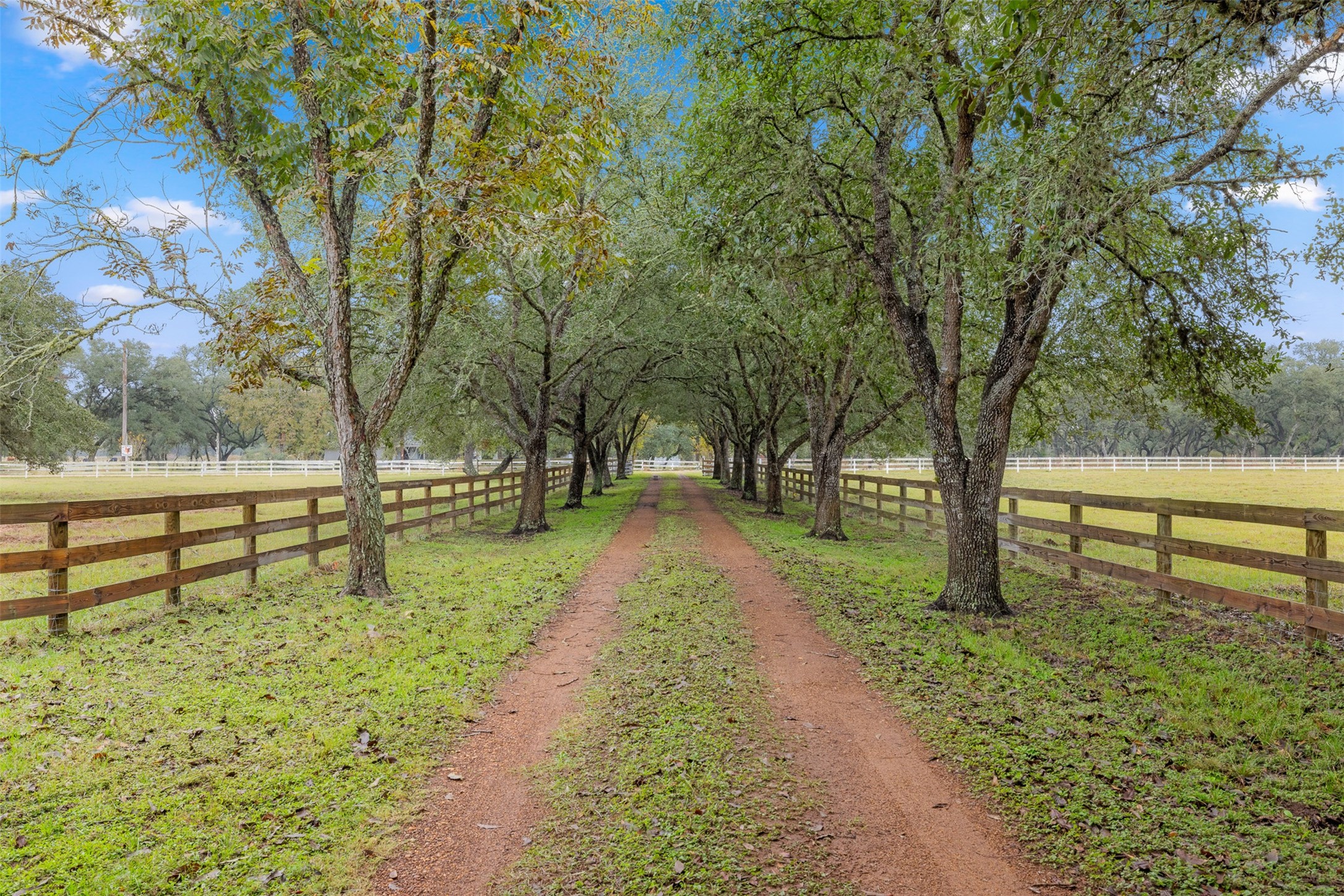 1131 Greak Road Weimar, TX 78962 - Photo 4 of 42 a view of park with bench and trees around
