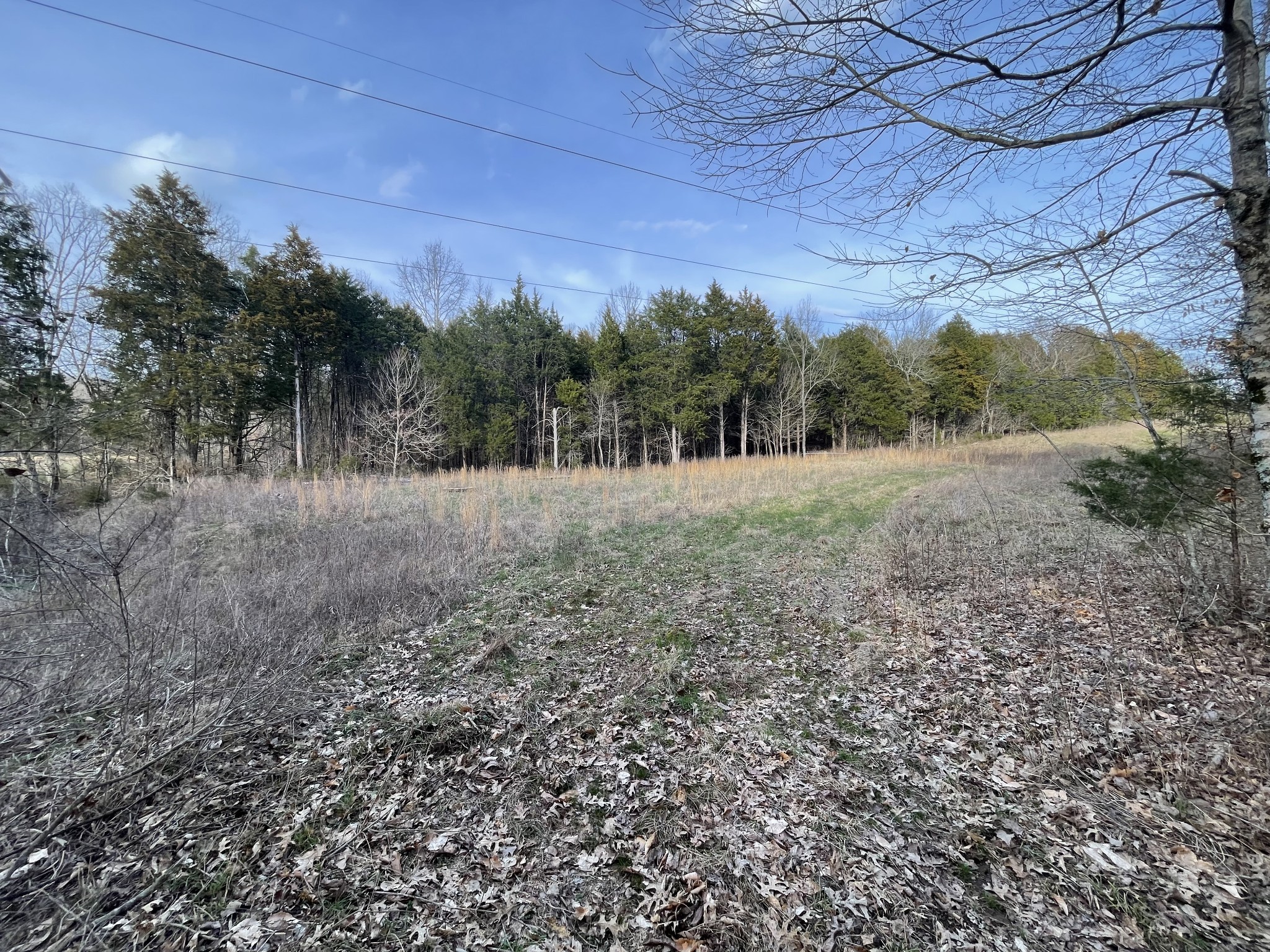 0 Johnson Branch Road Williamsport, TN 38487 - Photo 14 of 57 a view of dirt and mountain