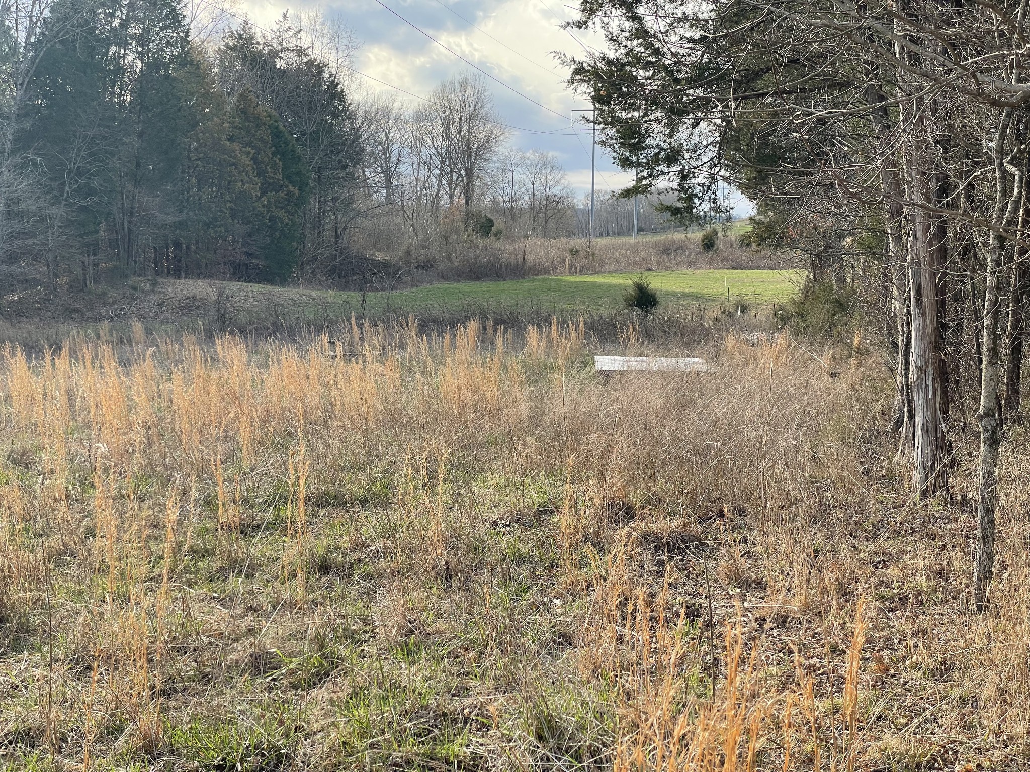 0 Johnson Branch Road Williamsport, TN 38487 - Photo 15 of 57 a view of a lake with a yard and large trees