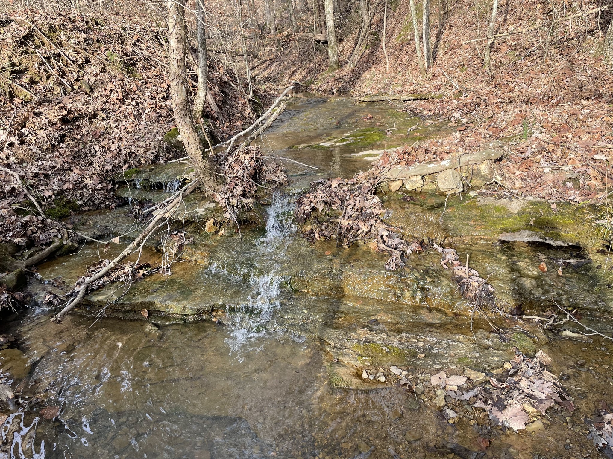 0 Johnson Branch Road Williamsport, TN 38487 - Photo 2 of 57