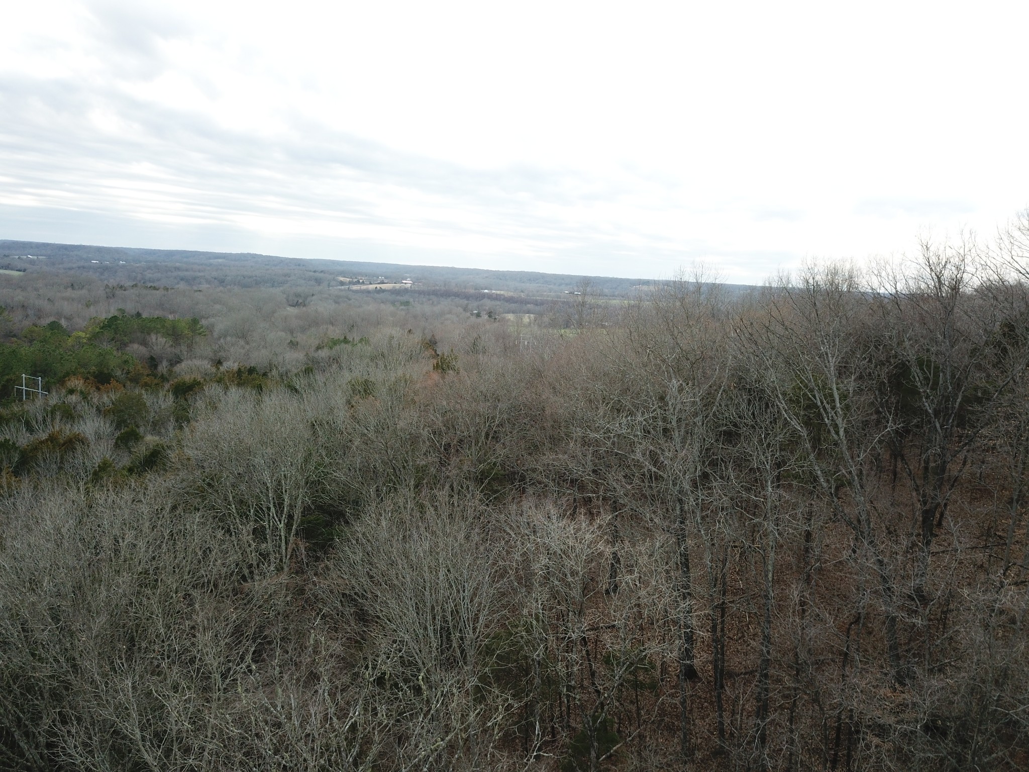 0 Johnson Branch Road Williamsport, TN 38487 - Photo 4 of 57 a view of a forest with trees in the background