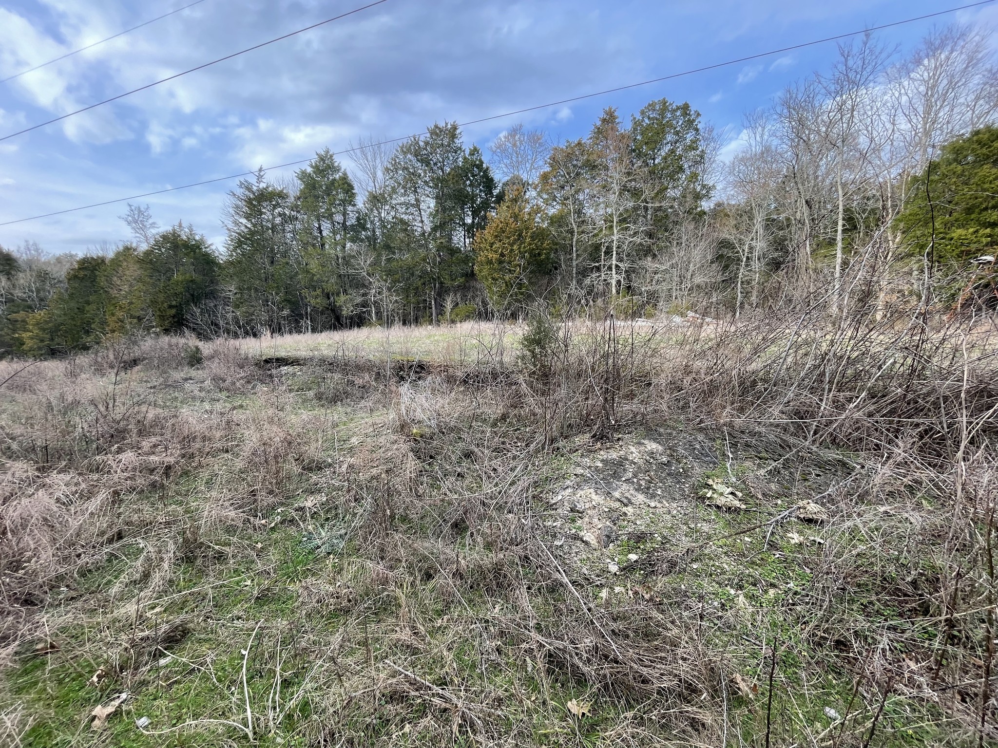 0 Johnson Branch Road Williamsport, TN 38487 - Photo 46 of 57 a view of a dry yard with trees and wooden fence