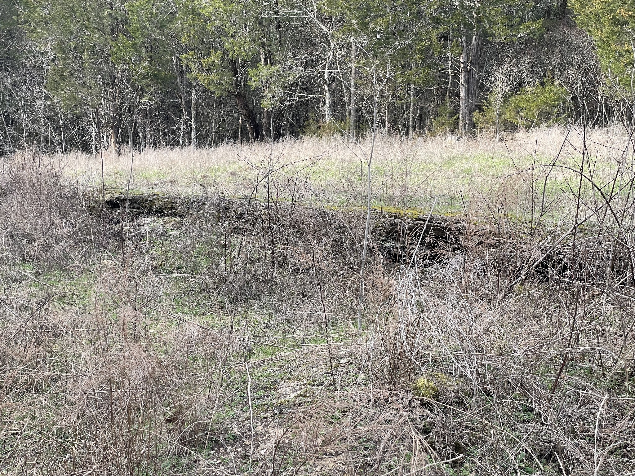 0 Johnson Branch Road Williamsport, TN 38487 - Photo 47 of 57 a view of a yard with wooden fence
