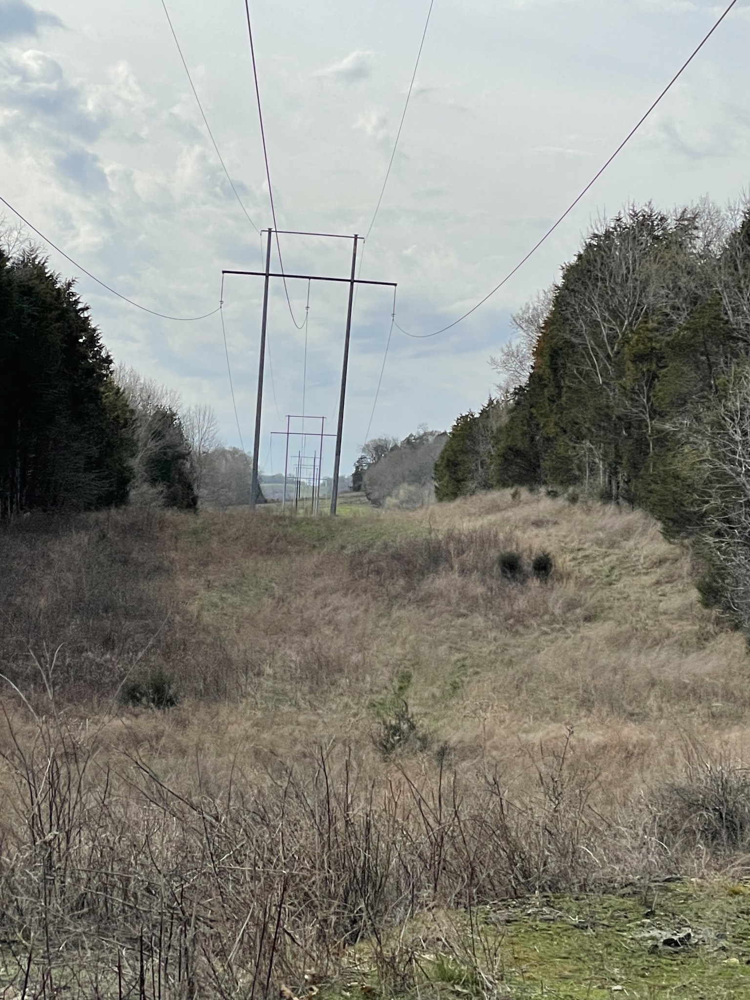 0 Johnson Branch Road Williamsport, TN 38487 - Photo 49 of 57