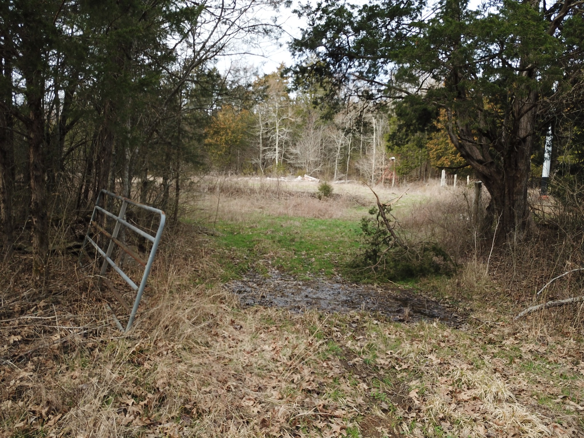 0 Johnson Branch Road Williamsport, TN 38487 - Photo 51 of 57 a view of outdoor space and yard