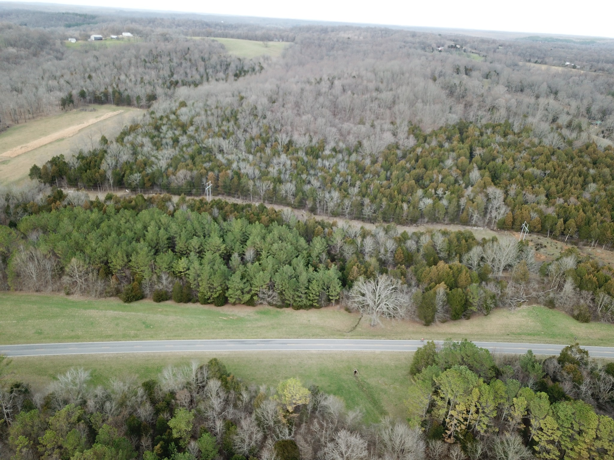 0 Johnson Branch Road Williamsport, TN 38487 - Photo 52 of 57 an aerial view of forest