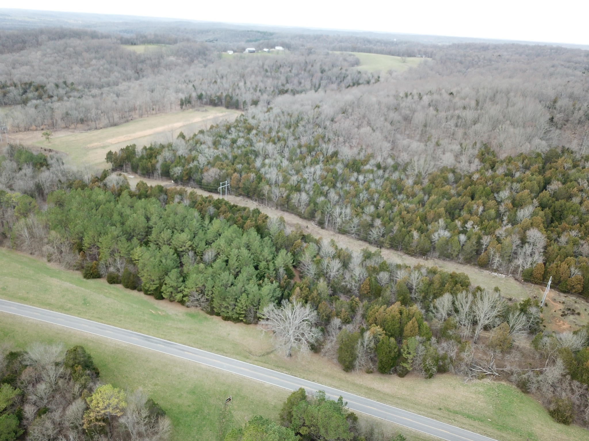 0 Johnson Branch Road Williamsport, TN 38487 - Photo 54 of 57