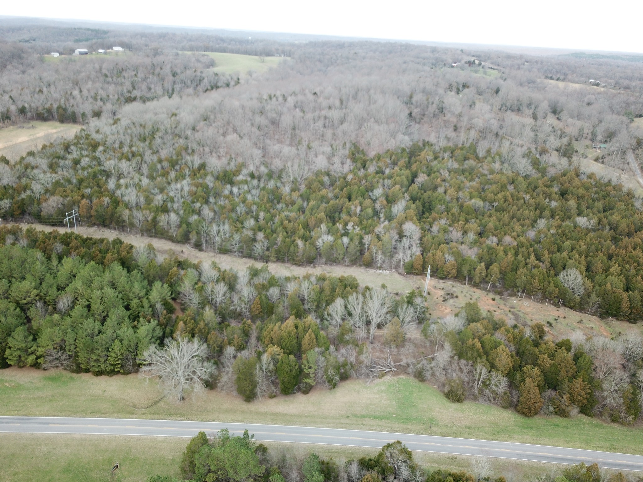 0 Johnson Branch Road Williamsport, TN 38487 - Photo 55 of 57 an aerial view of mountain with trees
