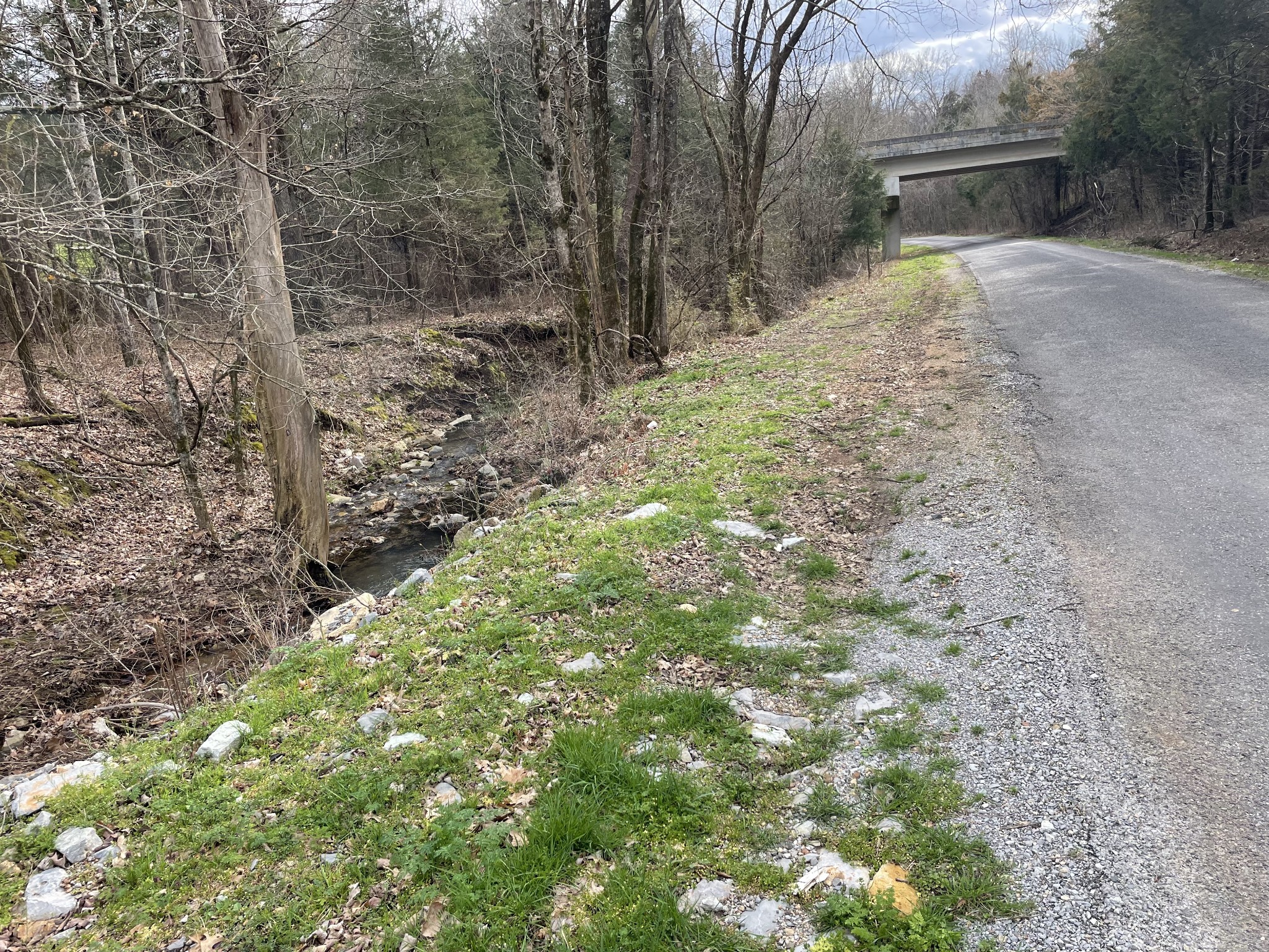 0 Johnson Branch Road Williamsport, TN 38487 - Photo 57 of 57 a backyard of a house with lots of green space