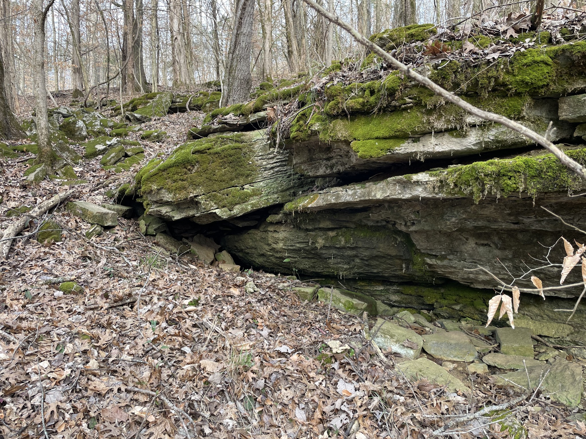 0 Johnson Branch Road Williamsport, TN 38487 - Photo 6 of 57