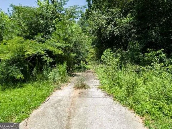 a view of a pathway both side of yard