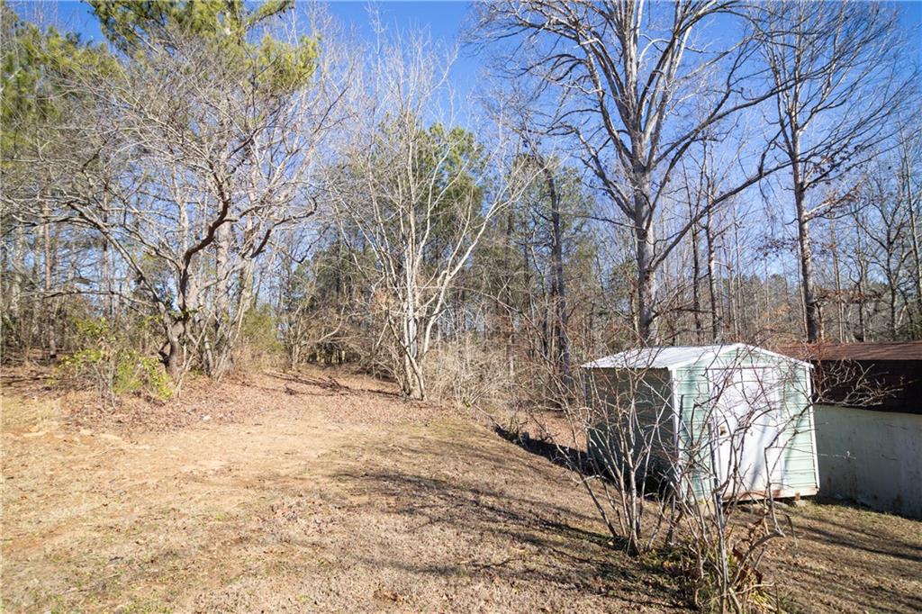 163 Rabbit Town Road Tate, GA 30177 - Photo 29 of 32 a view of backyard of house