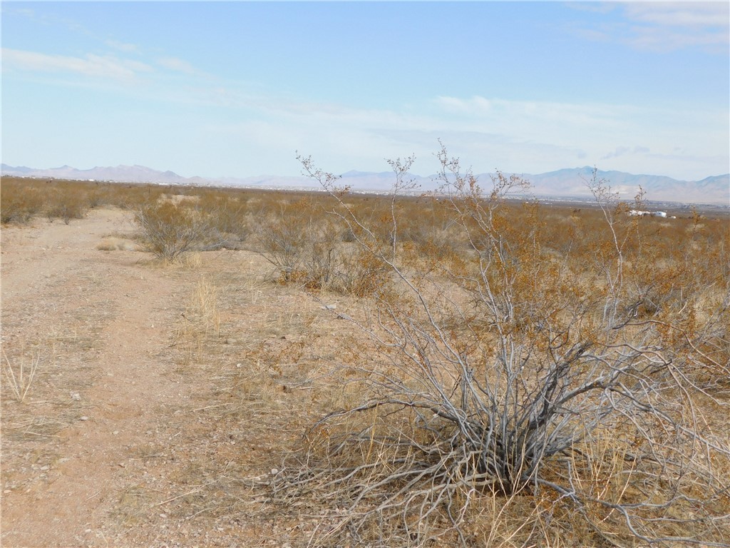 3128 South Zircon Road Golden Valley, AZ 86413 - Photo 13 of 16 View