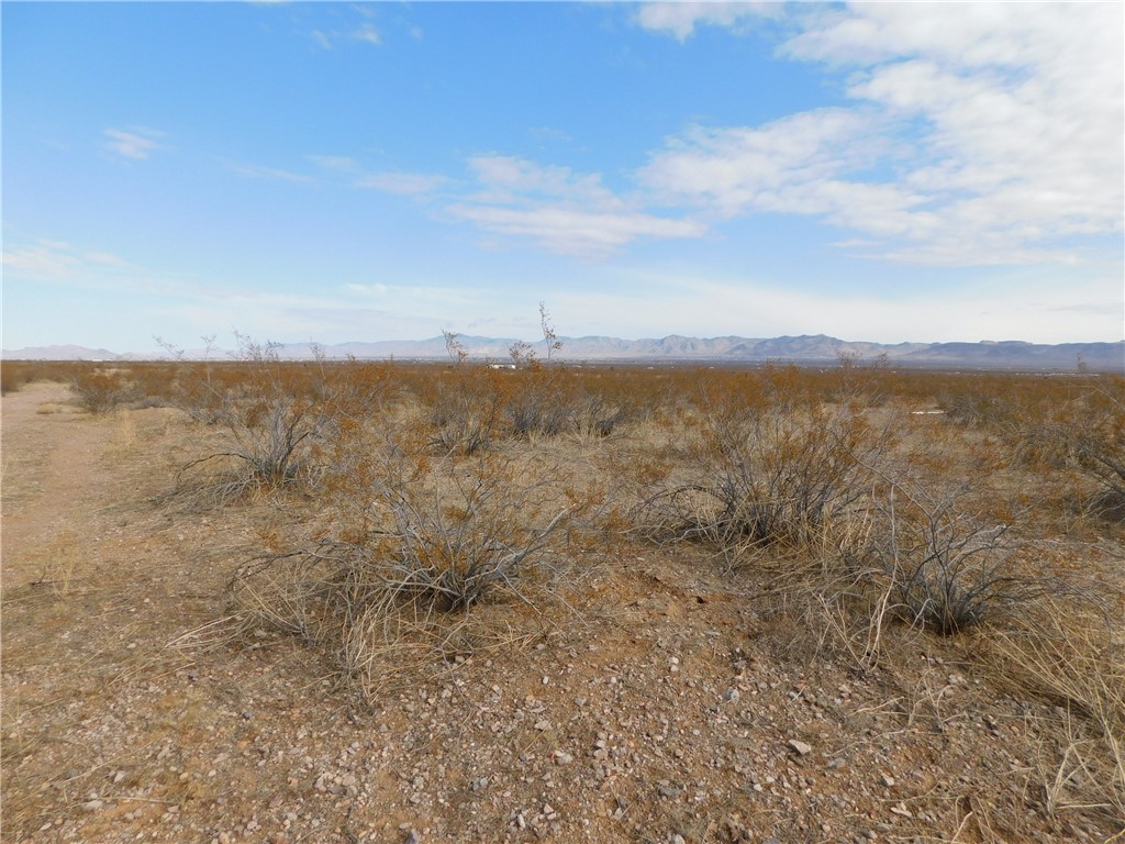 3128 South Zircon Road Golden Valley, AZ 86413 - Photo 5 of 16 Other