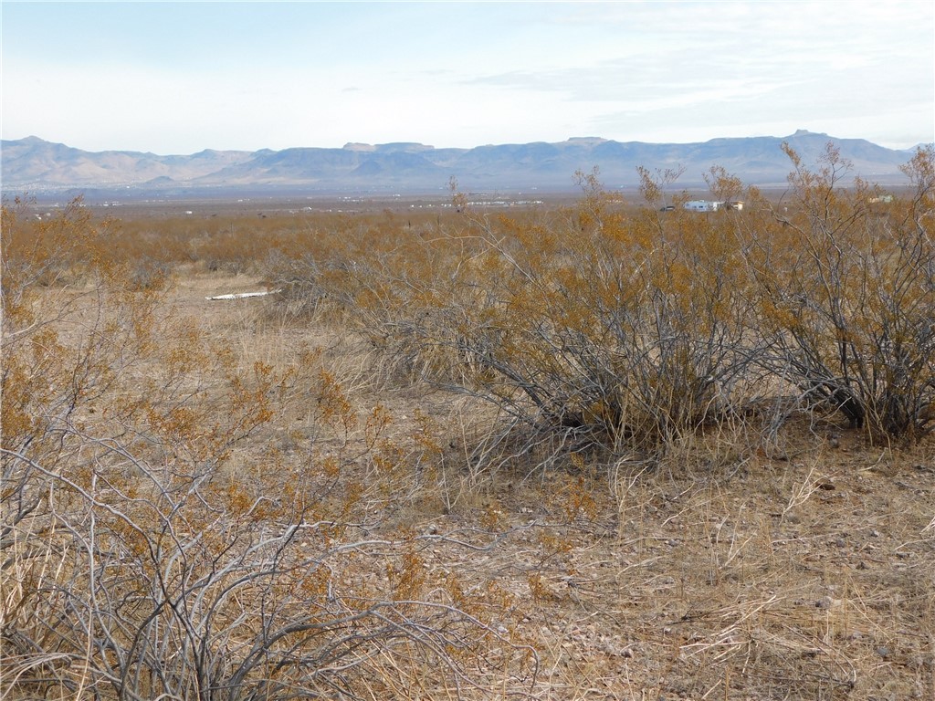 3128 South Zircon Road Golden Valley, AZ 86413 - Photo 7 of 16 View