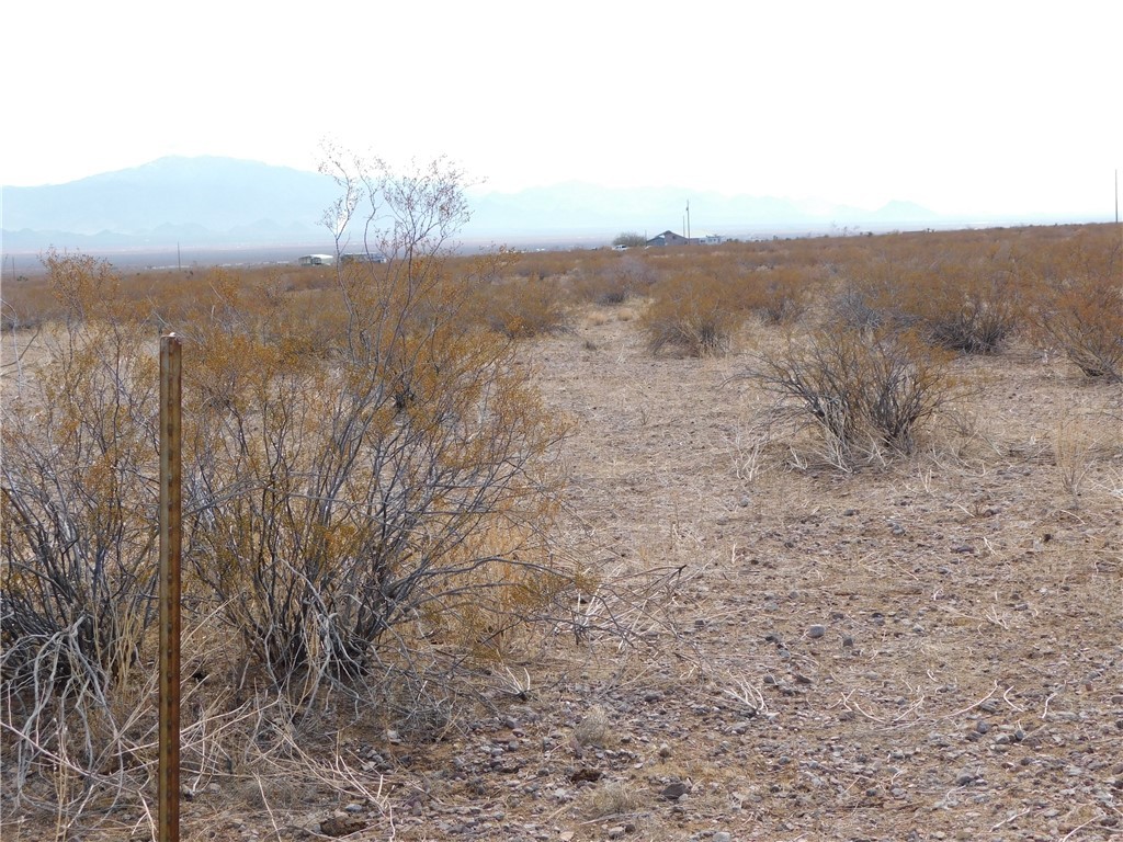 3128 South Zircon Road Golden Valley, AZ 86413 - Photo 8 of 16 Other