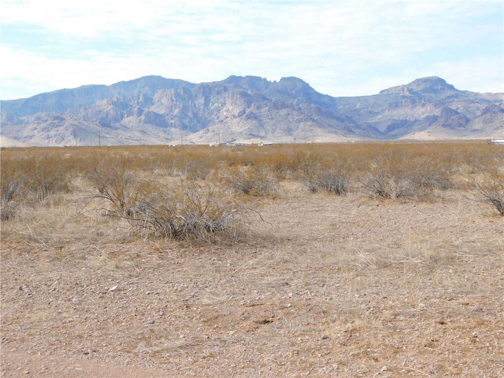 3128 South Zircon Road Golden Valley, AZ 86413 - Photo 9 of 16 View