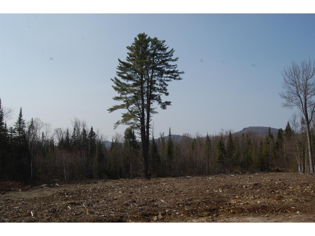 347 Old E Road Whitefield, NH 03598 - Photo 3 of 6