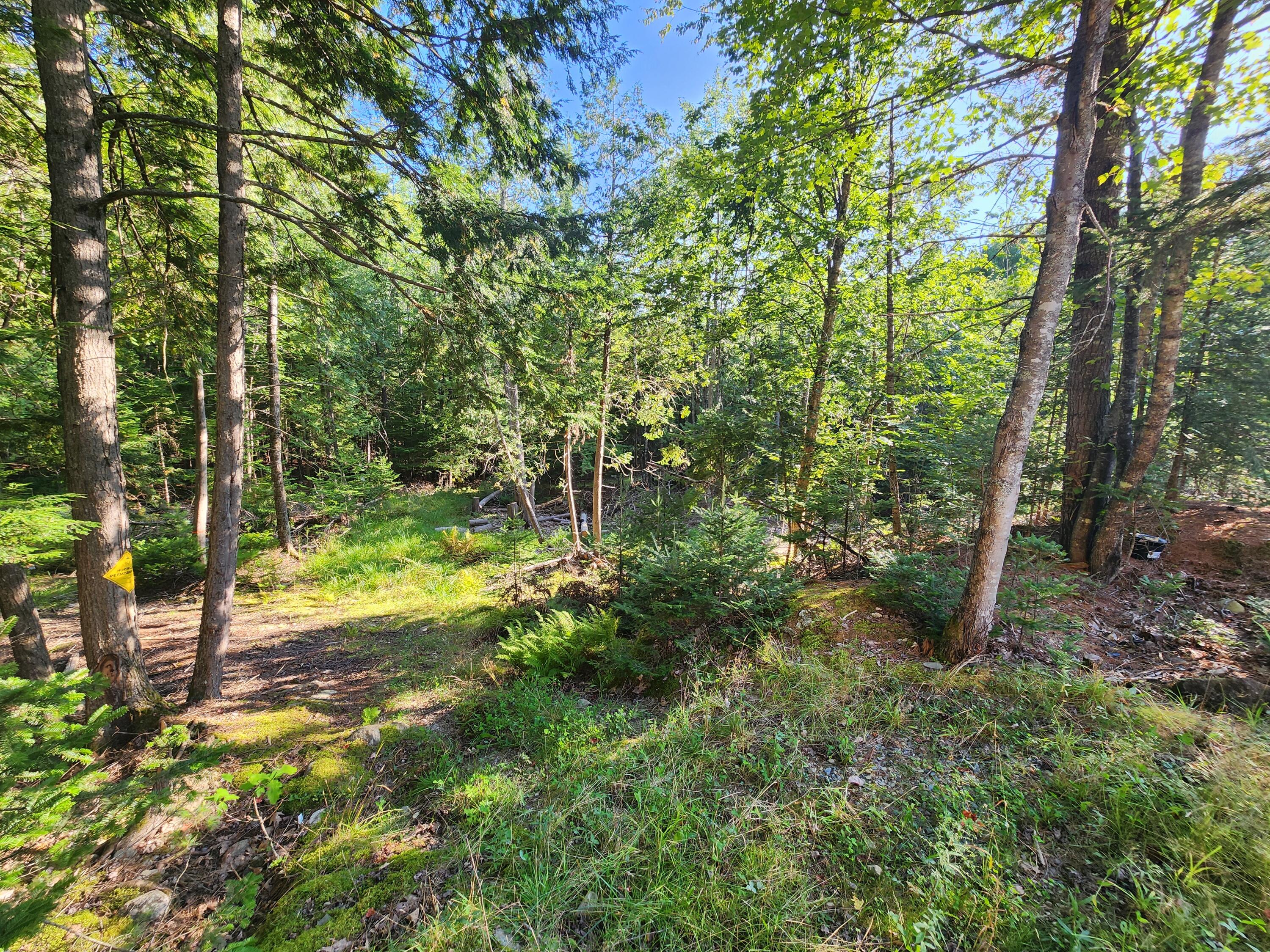 424 Five Road Carmel, ME 04419 - Photo 24 of 29 20240830_170010