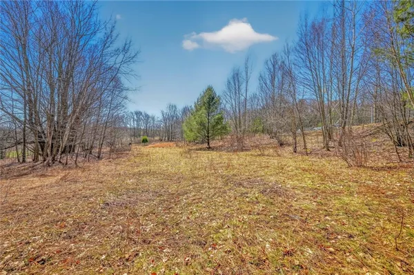 $39,000 | L25 Parker Schoolhouse Road, Davenport, NY 13750