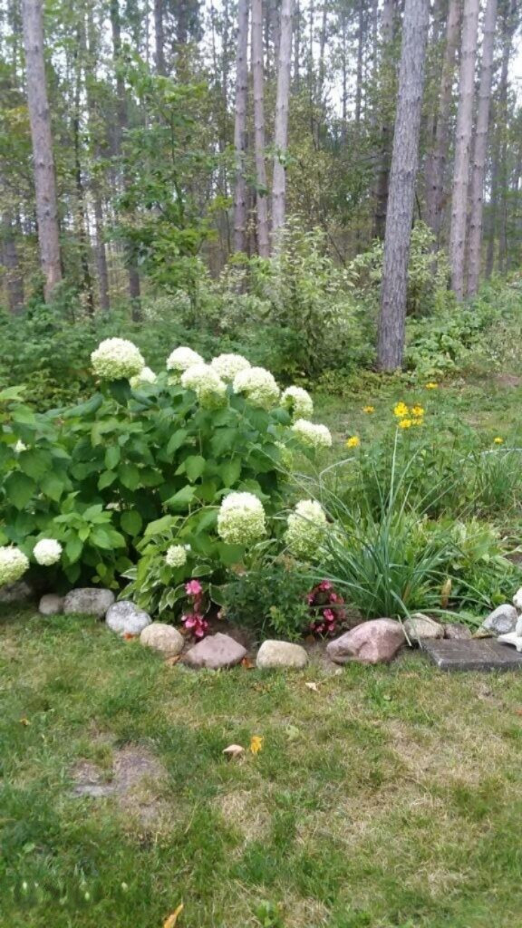 2198 East 24 Road Cadillac, MI 49601 - Photo 22 of 32 imagejpeg_0 2