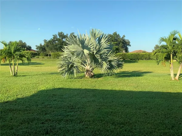 a view of a golf course