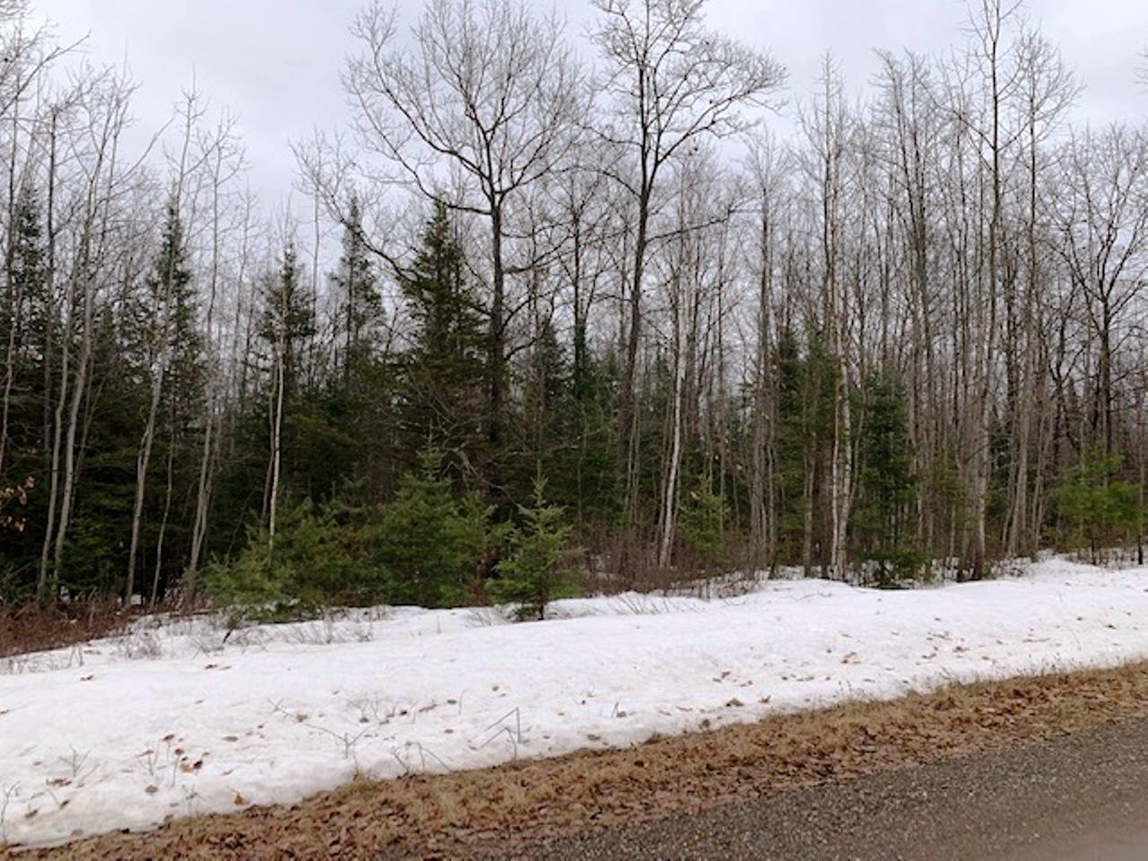 On Woods Road Felch, MI 49831 - Photo 11 of 12 Gallery Image 11