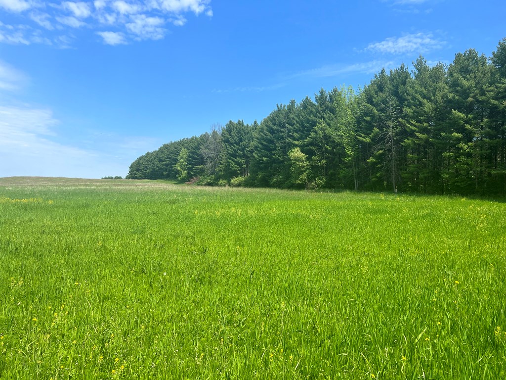 East Center Road Forestville, WI 54213 - Photo 5 of 15
